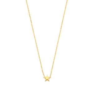 Ketting Moment Ster