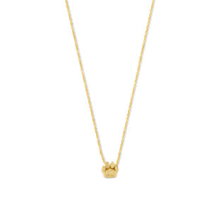 Ketting Vingerafdruk Dierenpoot