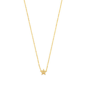 Ketting Vingerafdruk Ster