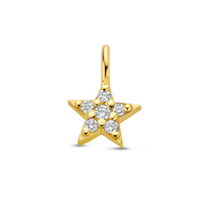 Hangsymbool Ster Pavé