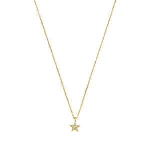 Ketting Hangsymbool Ster Pavé