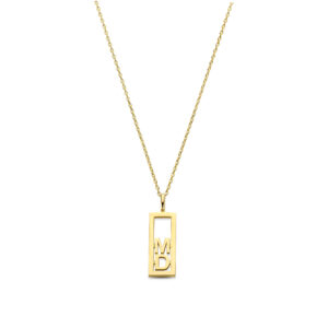 Ketting Capture Tag 2