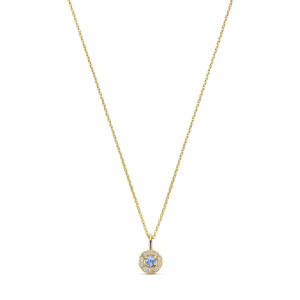 Ketting Milestonetag Halo