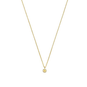 Ketting Initiaal Halo Tag