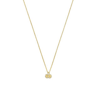 Ketting Initiaal Halo Tag 2