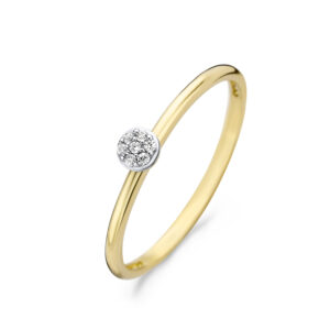 Ring zirkonia  7 kleine ronde