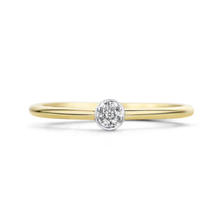 Ring zirkonia  7 kleine ronde