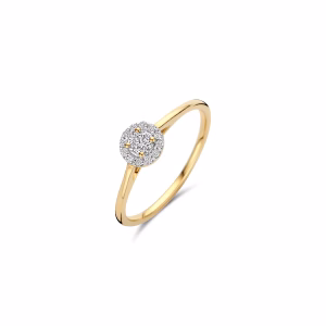 Ring Rond Halo Lab