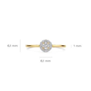 Ring Rond Halo Lab